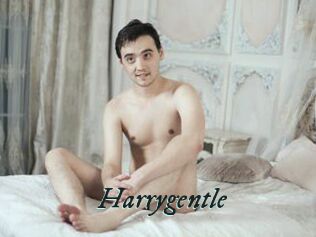 Harrygentle