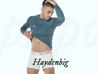 Haydenbig