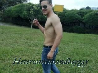 Heterosmensandboygay