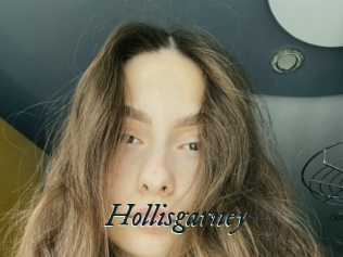 Hollisgarney