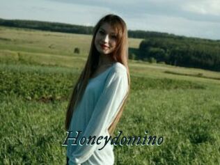 Honeydomino