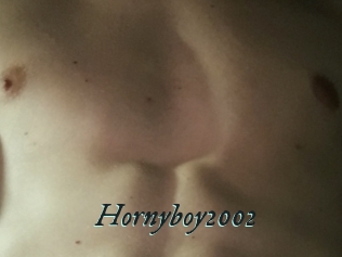 Hornyboy2002