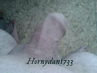 Hornydan1733
