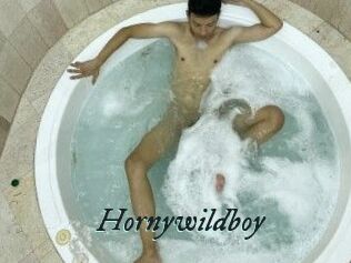 Hornywildboy