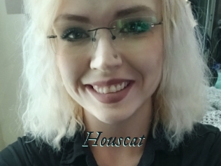 Houscat
