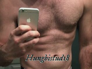Hungbistud18