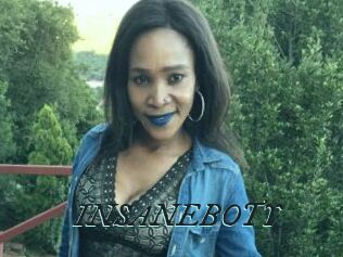INSANEBOTY