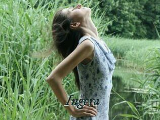Ingera