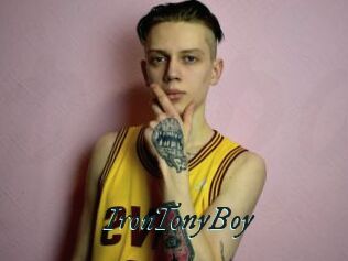 IronTonyBoy