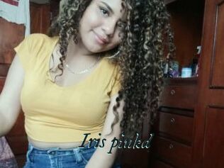 Iris_pinkd