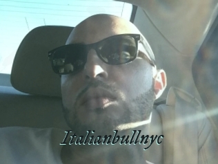 Italianbullnyc