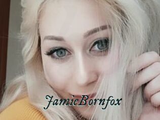 JamieBornfox