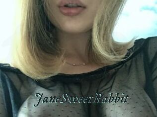 JaneSweetRabbit