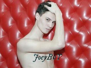 JoeyB0Y