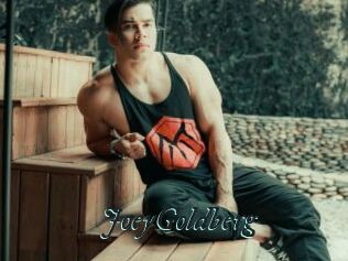 JoeyGoldberg