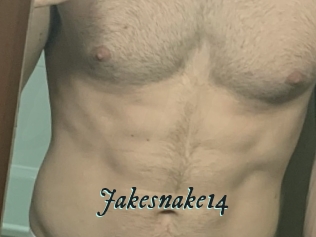 Jakesnake14