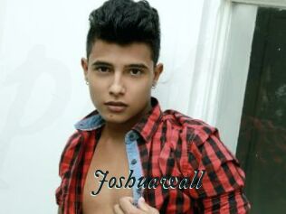 Joshuawall