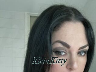 KleinKitty