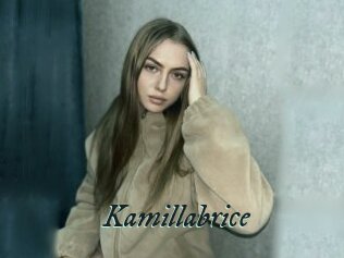 Kamillabrice