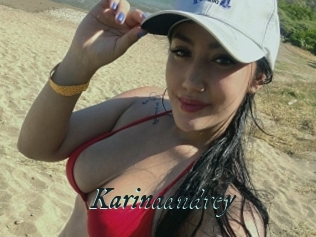 Karinaandrey