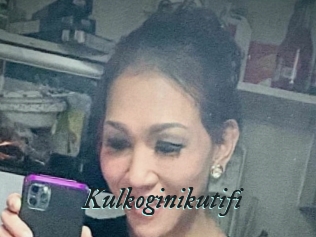 Kulkoginikutifi