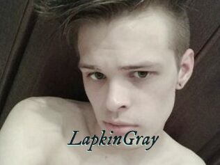 LapkinGray