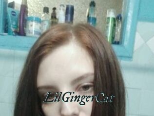LilGingerCat