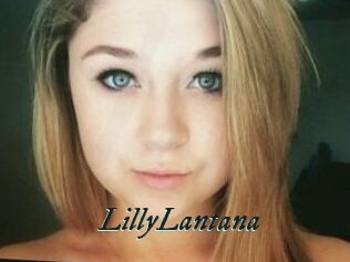LillyLantana