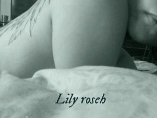 Lily_roseh