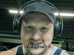ladbod36 Pharaons Porn