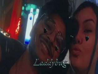 Laddybug