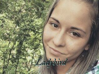 Ladybird