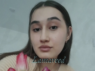 Lamareed