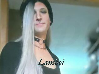 Lamboi