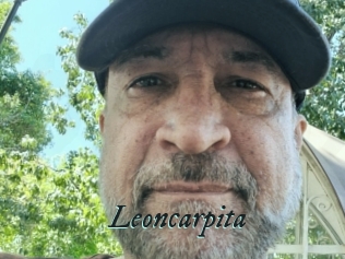 Leoncarpita