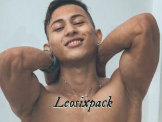 Leosixpack