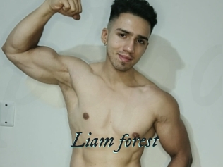 Liam_forest