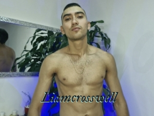 liamcrosswell Pharaons Porn
