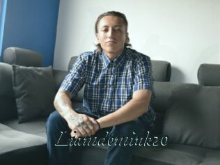 Liamdomink20