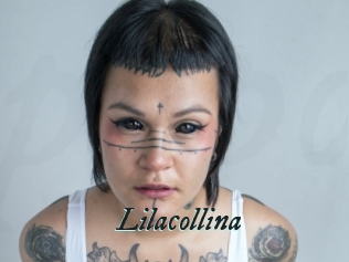 Lilacollina