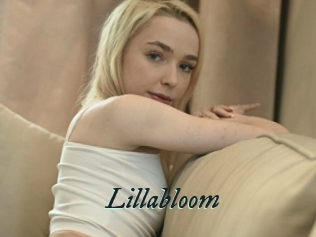 Lillabloom