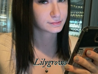 Lilygrows