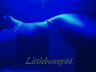 Littlebunny66