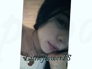 LittleflowerTS