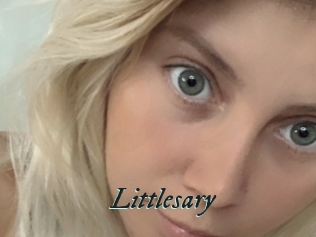 Littlesary