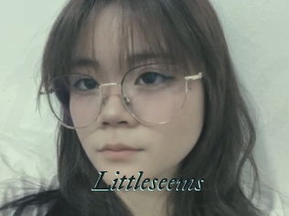 Littleseems