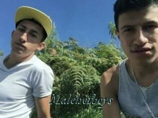 Malehotboys