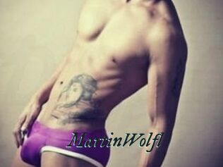 Martin_Wolfl