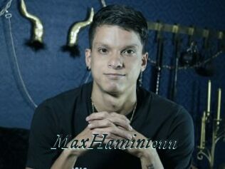 MaxHamintonn