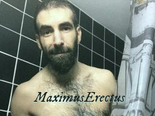 MaximusErectus